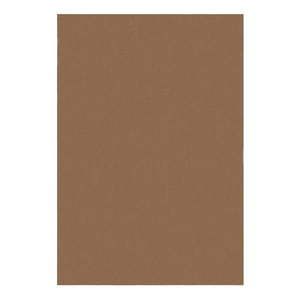 Koňakovohnedý koberec 160x230 cm – Flair Rugs vyobraziť
