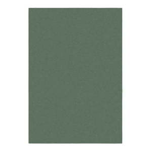 Zelený koberec 160x230 cm – Flair Rugs vyobraziť