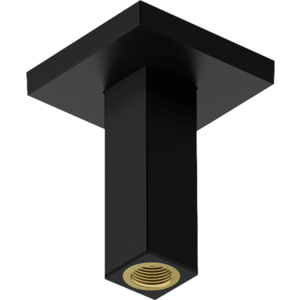 Hansgrohe - Prívod od stropu E 100 mm, čierna matná 24338670 vyobraziť