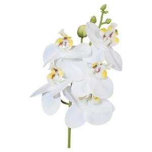 Umelá Rastlina Phalaenopsis, V: 27cm, biela vyobraziť