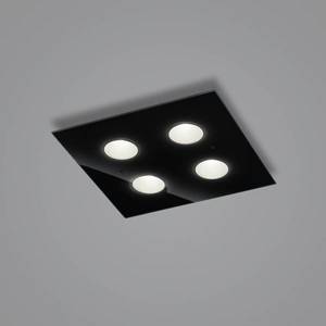 Helestra Helestra Nomi LED svetlo 38x38 cm stmieva čierna vyobraziť