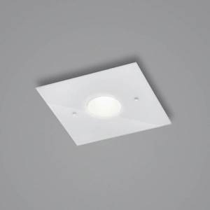 Helestra Helestra Nomi stropné LED svetlo 23x23cm dim biela vyobraziť