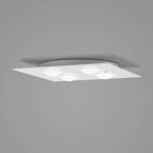 Helestra Helestra Nomi stropné LED svetlo 38x38cm dim biela vyobraziť