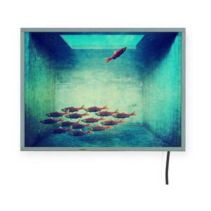 Svetelná nástenná dekorácia Surdic Free Fish, 40 x 30 cm vyobraziť
