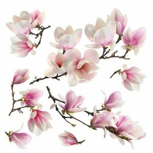Samolepiaca dekorácia Magnolia blossom, 30 x 30 cm vyobraziť