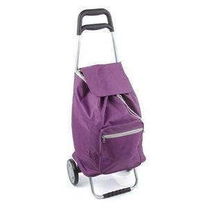 Aldo Nákupná taška na kolieskach Cargo, fialová vyobraziť