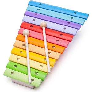 Dřevěný xylofon FRANKO vícebarevný vyobraziť