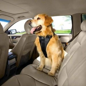 Kurgo Bezpečnostný postroj pre psy s pásom do auta, čierna, XL vyobraziť