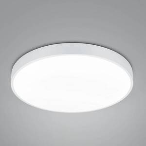 Trio Lighting LED stropné svietidlo Waco, CCT, Ø 49, 5 cm, matná biela vyobraziť