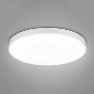 Trio Lighting LED stropné svietidlo Waco, CCT, Ø 75 cm, matná biela vyobraziť