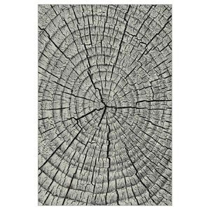 Sconto Koberec KOLIBRI 4 sivé drevo, 120x170 cm vyobraziť