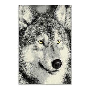 Sconto Koberec KOLIBRI 5 vlk sivý, 120x170 cm vyobraziť