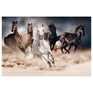 Sconto Obraz HORSES 120x80 cm, viacfarebná vyobraziť