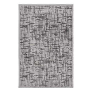 Sivý vonkajší koberec 190x290 cm Clyde Telu – Hanse Home vyobraziť