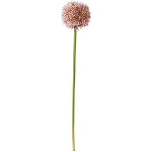Umelý Kvet Allium I -Paz- vyobraziť