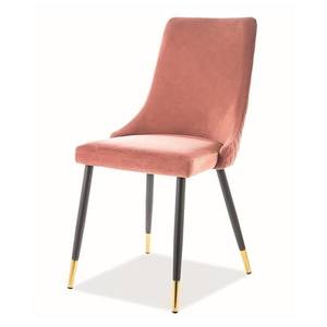 Sconto Jedálenská stolička PAONU 2 staroružová/čierna/zlatá vyobraziť