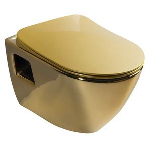 SAPHO - PAULA závesná WC misa, 35, 5x50cm, zlatá TP325-AK00 vyobraziť