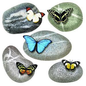 Samolepiaca dekorácia Butterflies on Stones, 30 x 30 cm vyobraziť