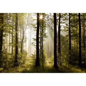AG Art Fototapeta XXL Raný les 360 x 270 cm, 4 diely vyobraziť
