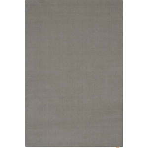 Sivý vlnený koberec 200x300 cm Calisia M Smooth – Agnella vyobraziť