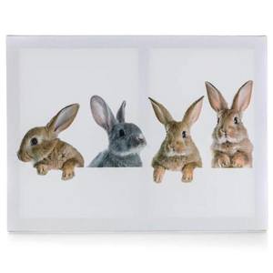 Sconto Obraz na plátne RABBITS 40x30 cm, motív zajačikovia vyobraziť