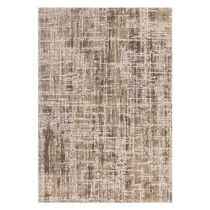 Béžový koberec 160x230 cm Kuza – Asiatic Carpets vyobraziť