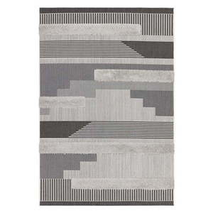 Sivý vonkajší koberec 200x290 cm Monty – Asiatic Carpets vyobraziť