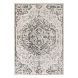 Sivo-krémový koberec 200x290 cm Nova – Asiatic Carpets vyobraziť