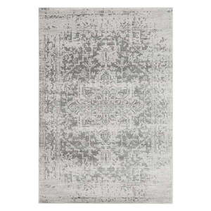 Koberec 120x170 cm Nova – Asiatic Carpets vyobraziť