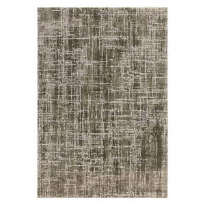 Khaki koberec 240x340 cm Kuza – Asiatic Carpets vyobraziť