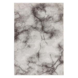 Sivý koberec 160x230 cm Dream – Asiatic Carpets vyobraziť