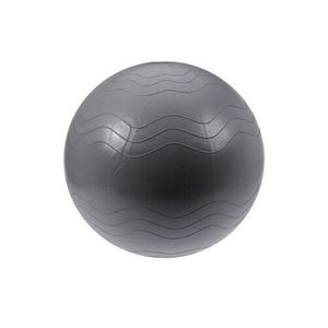 XQ Max Pomôcka na cvičenie Yoga Ball pr. 65 cm, strieborná vyobraziť