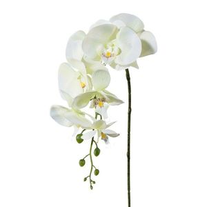 Umelá Orchidea biela, 86 cm 305303-50 vyobraziť
