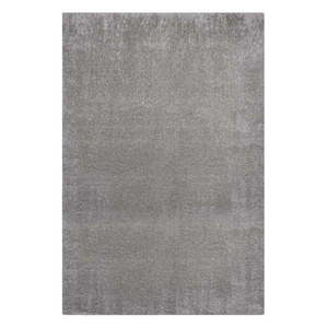 Sivý koberec z recyklovaných vlákien 80x150 cm Velvet – Flair Rugs vyobraziť