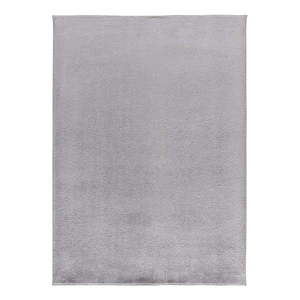 Sivý koberec z mikrovlákna 160x220 cm Coraline Liso – Universal vyobraziť