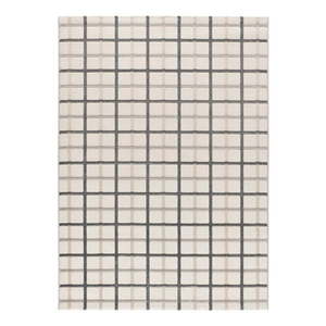 Sivo-krémový koberec 160x230 cm Karisma – Universal vyobraziť
