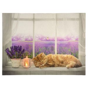 Nexos 86701 Nástenná maľba mačka na okne, 1 LED, 30 x 40 cm vyobraziť