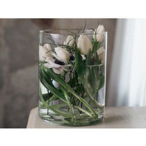 Sklenená váza 19x25 cm, priehľadná valcová% vyobraziť