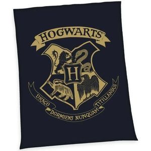 Herding Detská deka Harry Potter Hogwarts, 150 x 200 cm vyobraziť