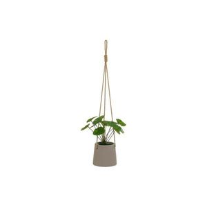 Umelá rastlina (výška 24 cm) Pilea – Casa Selección vyobraziť