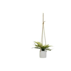 Umelá rastlina (výška 24 cm) – Casa Selección vyobraziť