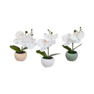 Umelé rastliny v súprave 3 ks (výška 15 cm) Orchid – Casa Selección vyobraziť