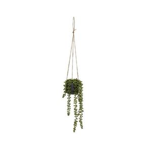 Umelá rastlina (výška 37 cm) Senecio – Casa Selección vyobraziť