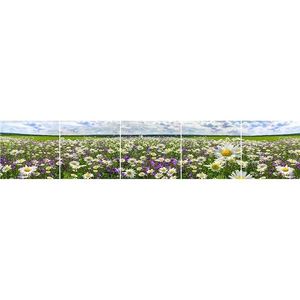 Sklenený panel 60/300 Flowers-3 5-Elem vyobraziť