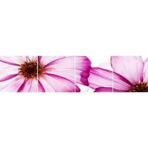 Sklenený panel 60/240 Flowers-1 4-Elem vyobraziť