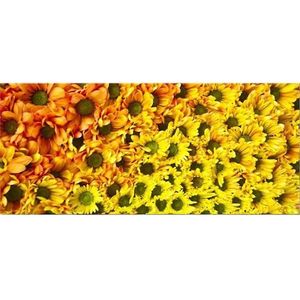 Dekor sklenený Žlté kvety 20/50 vyobraziť