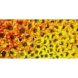 Dekor sklenený Žlté kvety 30/60 vyobraziť