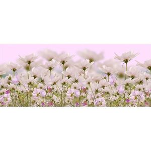 Dekor sklenený Biele kvety 1 20/50 vyobraziť