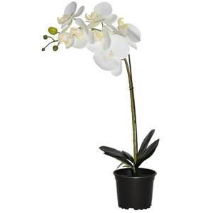 Umelá prémiová orchidea 7 kvetov 70 cm vyobraziť