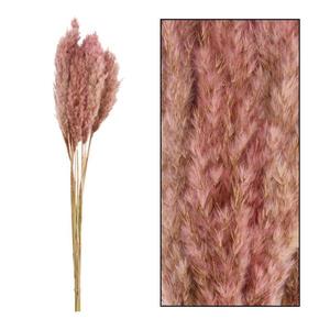 Umelá tráva Plume 80-90 cm vyobraziť